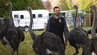 Animal Control 1. Sezon 1. Bölüm izle