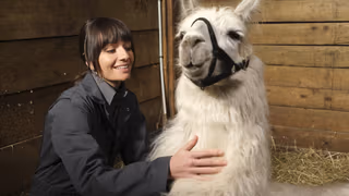 Animal Control 1. Sezon 6. Bölüm izle