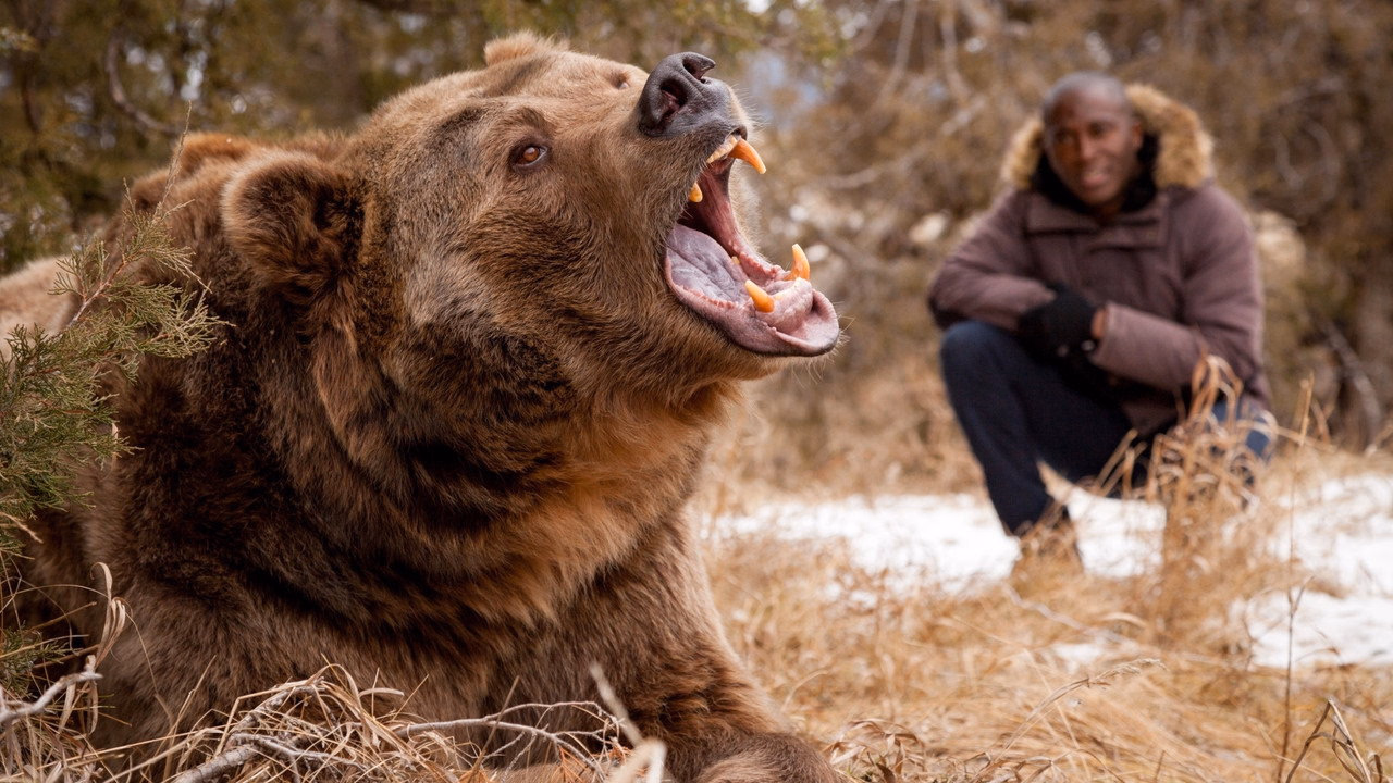 Big Beasts: Last of the Giants 1. Sezon 1. Bölüm izle