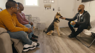 Canine Intervention 1. Sezon 2. Bölüm izle