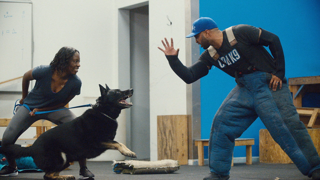 Canine Intervention 1. Sezon 3. Bölüm izle