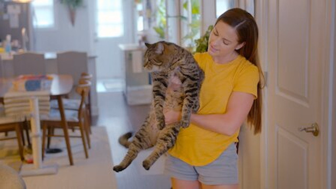 Cat People 1. Sezon 4. Bölüm izle