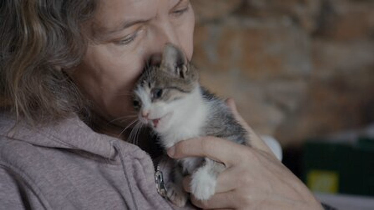 Cat People 1. Sezon 5. Bölüm izle