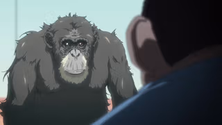 Darwin Hadisesi 1. Sezon 3. Bölüm izle