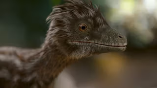 Dinozorlar 1. Sezon 1. Bölüm izle