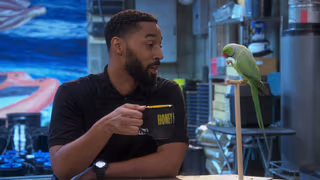Disjointed 1. Sezon 15. Bölüm izle