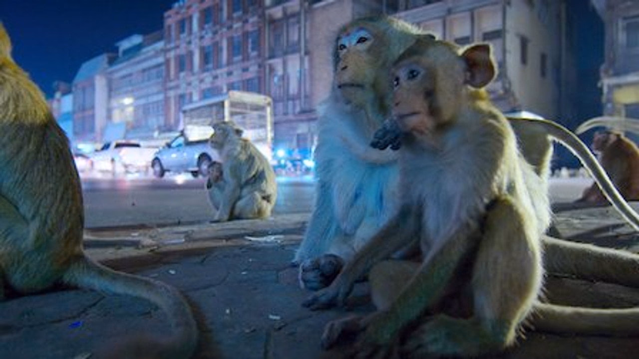 Dünya'da Gece 1. Sezon 5. Bölüm izle