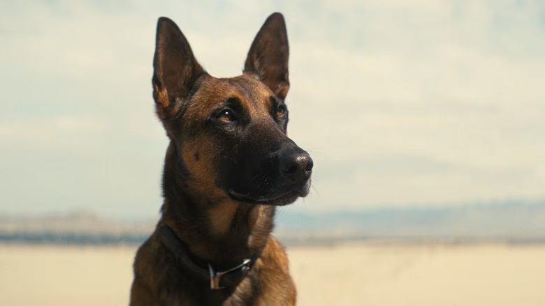 Fallout 1. Sezon 7. Bölüm izle