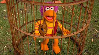 Fraggle Rock: Back to the Rock 1. Sezon 13. Bölüm izle