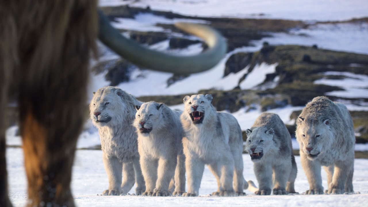 Gezegenimizde Yaşam 1. Sezon 8. Bölüm izle