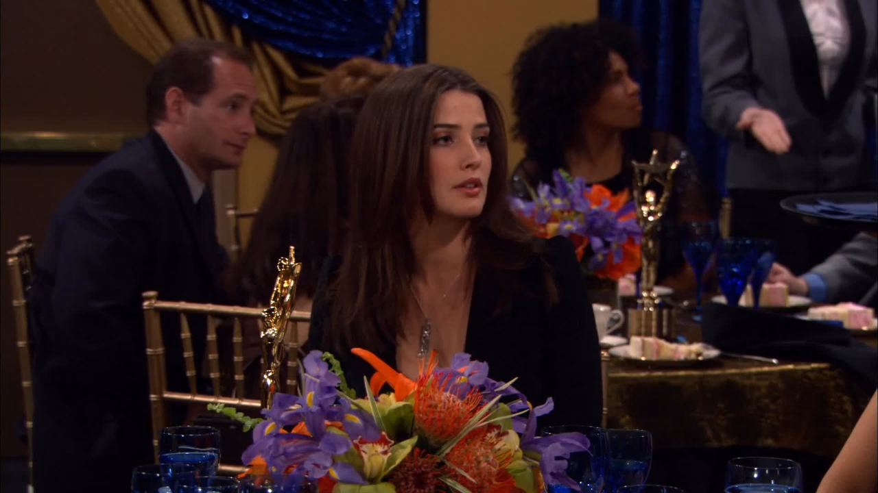 How I Met Your Mother 1. Sezon 19. Bölüm izle