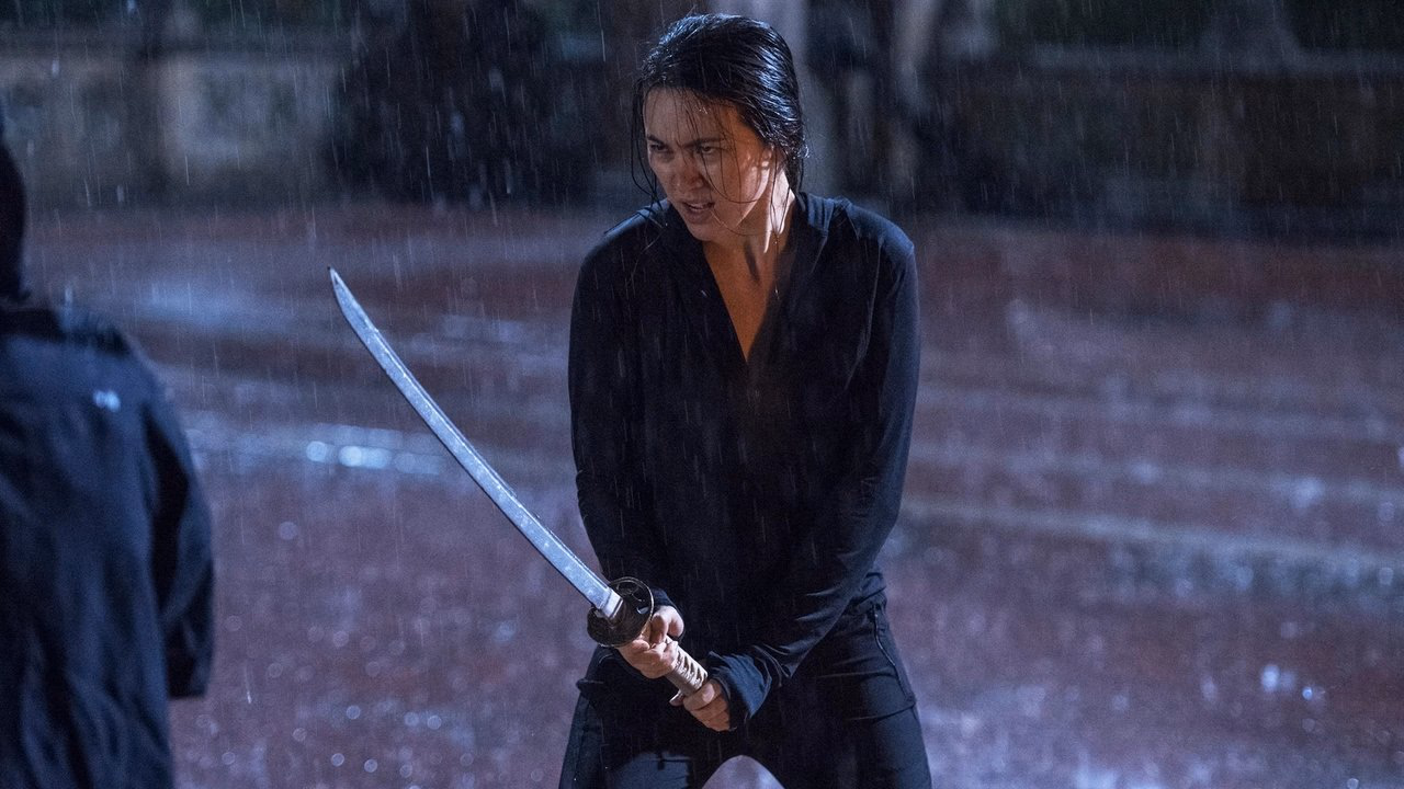 Marvel's Iron Fist 1. Sezon 12. Bölüm izle