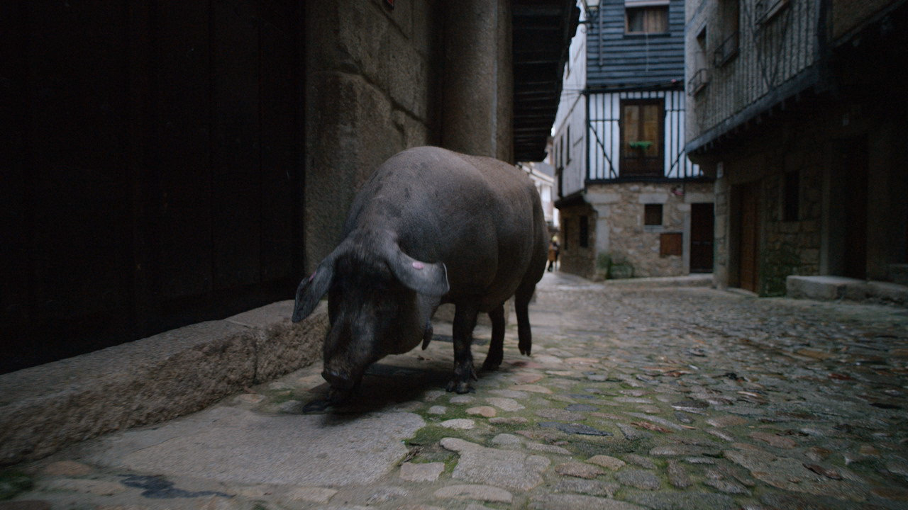 Omnivore 1. Sezon 5. Bölüm izle