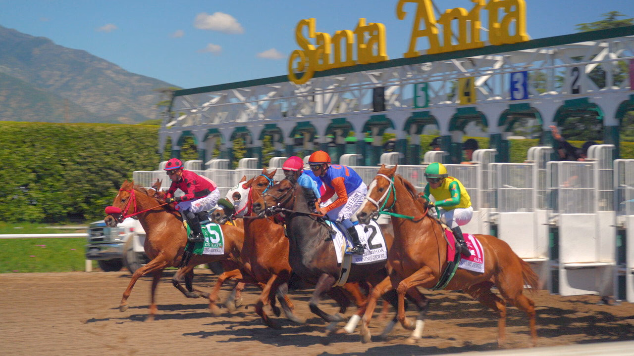 Race for the Crown 1. Sezon 1. Bölüm izle
