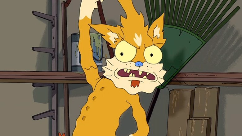 Rick and Morty 1. Sezon 11. Bölüm izle