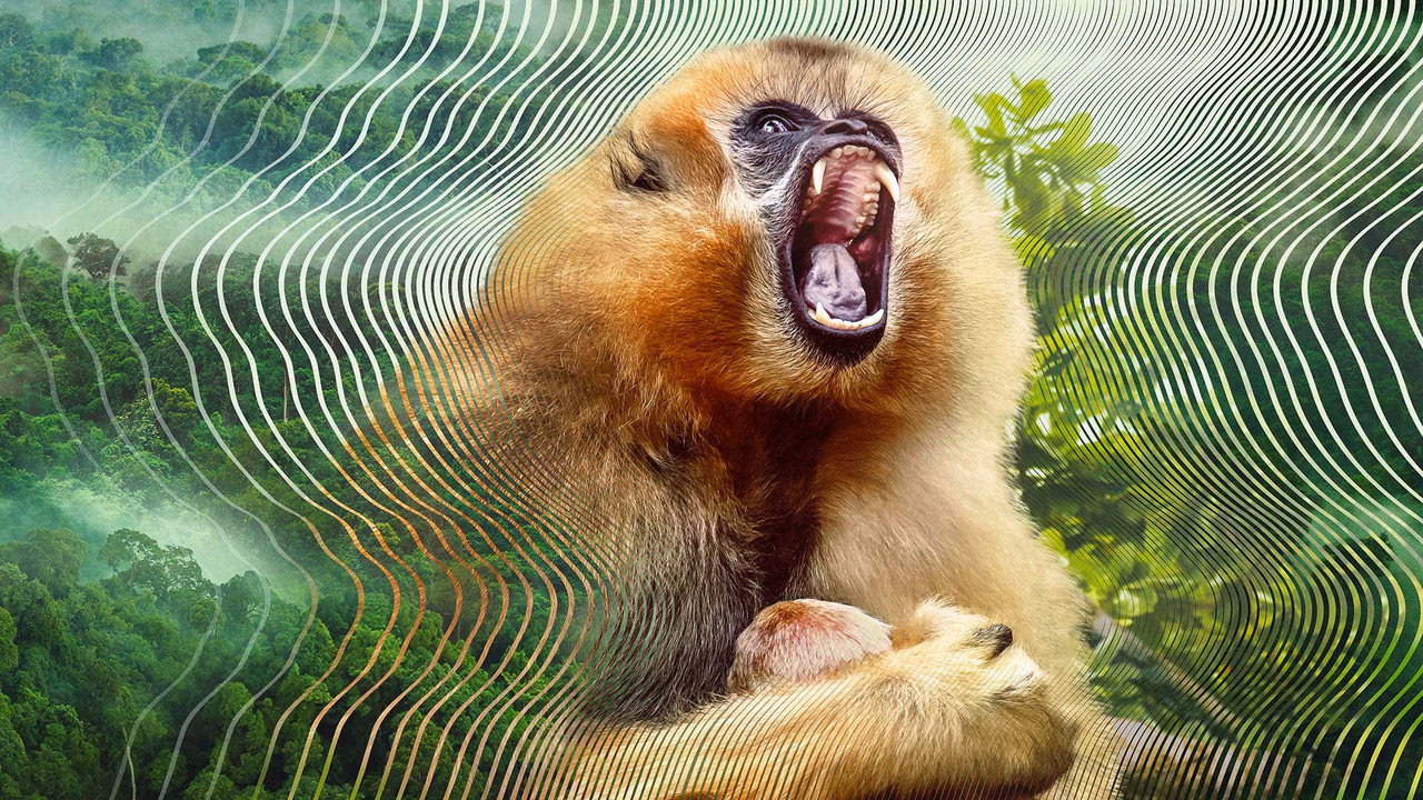 Secret World of Sound 1. Sezon 2. Bölüm izle