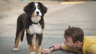 Super PupZ 1. Sezon 3. Bölüm izle