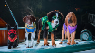 Super PupZ 1. Sezon 7. Bölüm izle