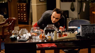 The Big Bang Theory 1. Sezon 4. Bölüm izle