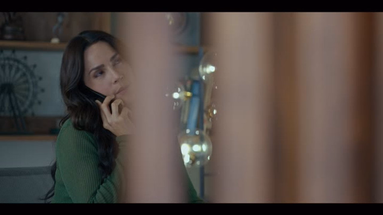 The Guest 1. Sezon 16. Bölüm izle