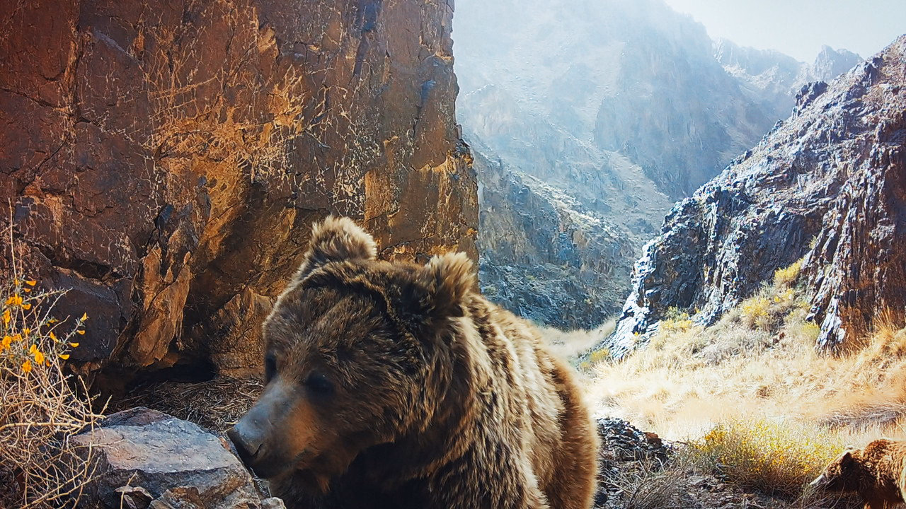 The Wild Ones 1. Sezon 2. Bölüm izle