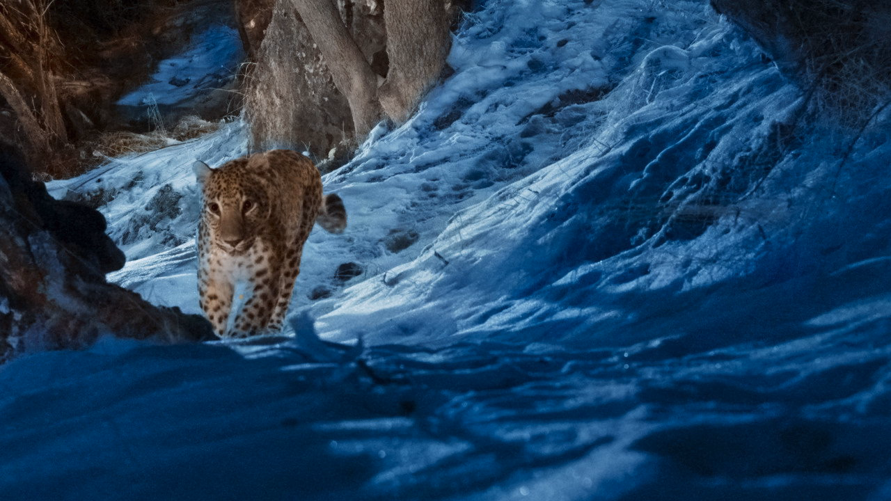 The Wild Ones 1. Sezon 4. Bölüm izle