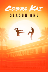 Cobra Kai 1. Sezon Posteri