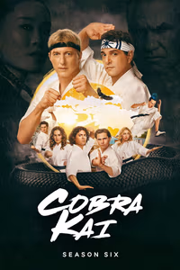 Cobra Kai 6. Sezon Posteri