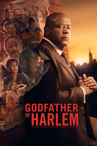 Godfather of Harlem 3. Sezon Posteri