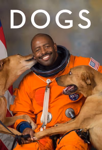 Köpekler 2. Sezon Posteri