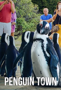 Penguen Kolonisi 1. Sezon Posteri