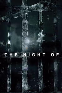 The Night Of 1. Sezon Posteri