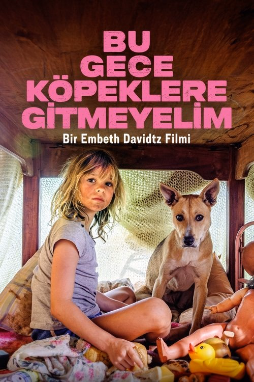 Bu Gece Köpeklere Gitmeyelim izle