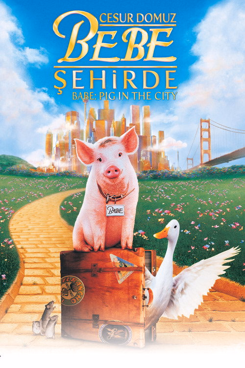 Cesur Domuz Bebe: Şehirde izle