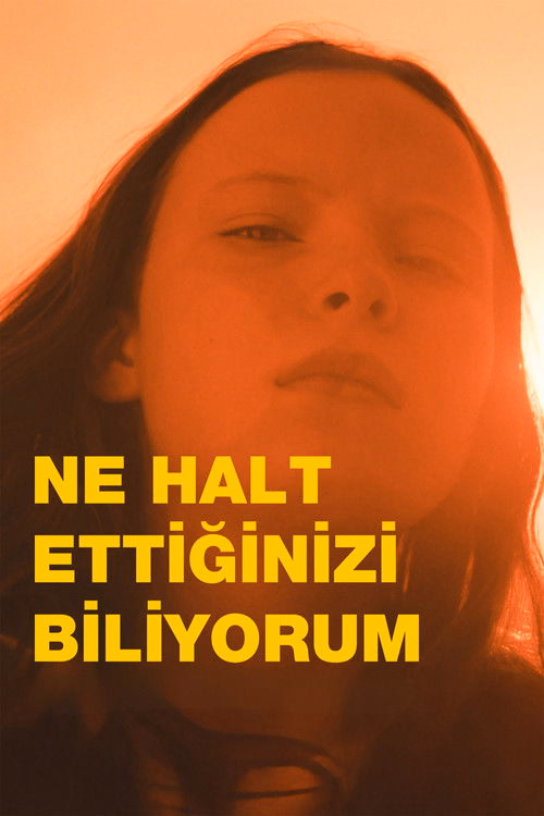 Ne Halt Ettiğinizi Biliyorum izle