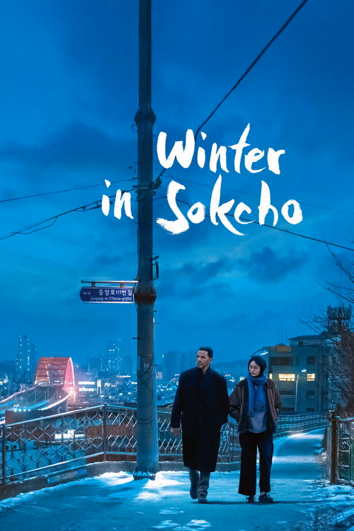Sokço'da Kış izle