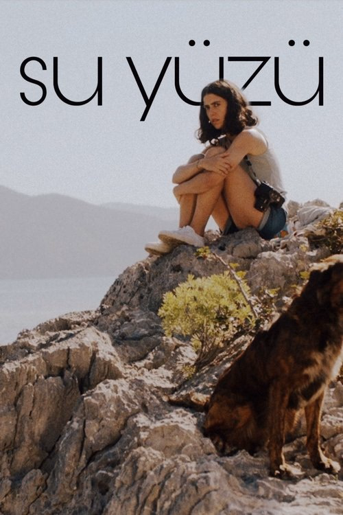 Su Yüzü izle