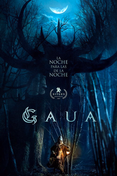 The Night izle