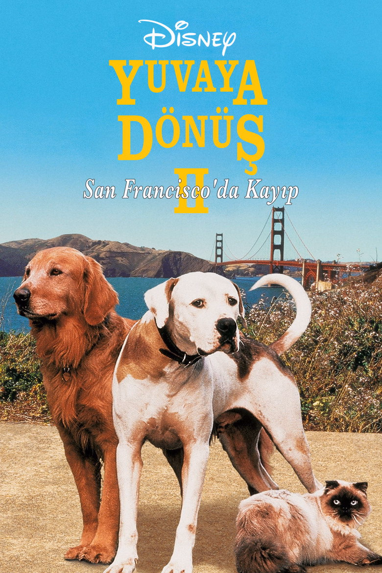Yuvaya Dönüş II: San Francisco'da Kayıp izle