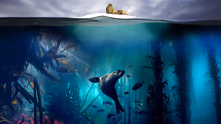 Blue Planet II arka plan