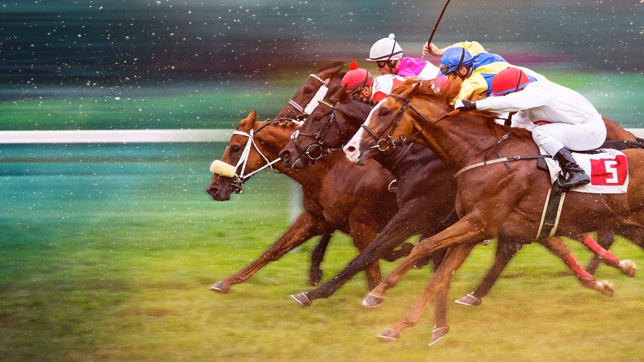 Race for the Crown 1. Sezon 2. Bölüm izle