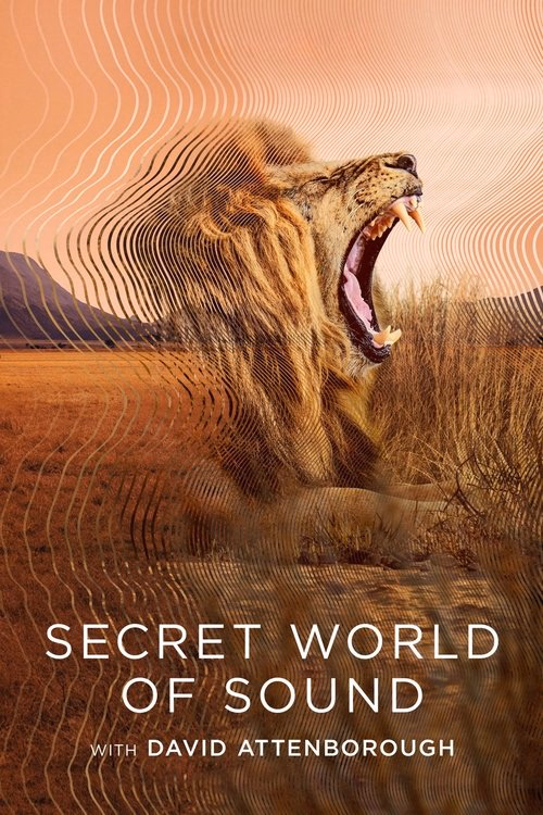Secret World of Sound