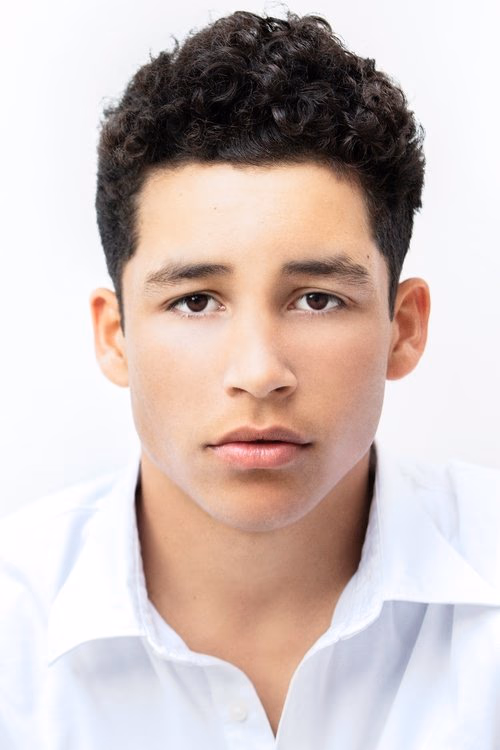 Andrew Liner filmleri