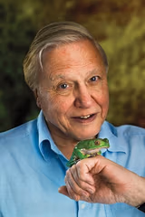 David Attenborough filmleri