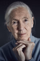 Jane Goodall filmleri