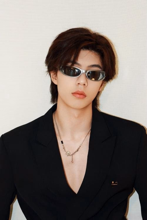 Li Zhekun filmleri