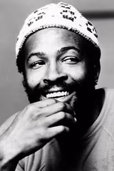 Marvin Gaye filmleri