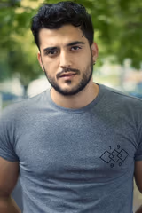Phoenix Raei filmleri