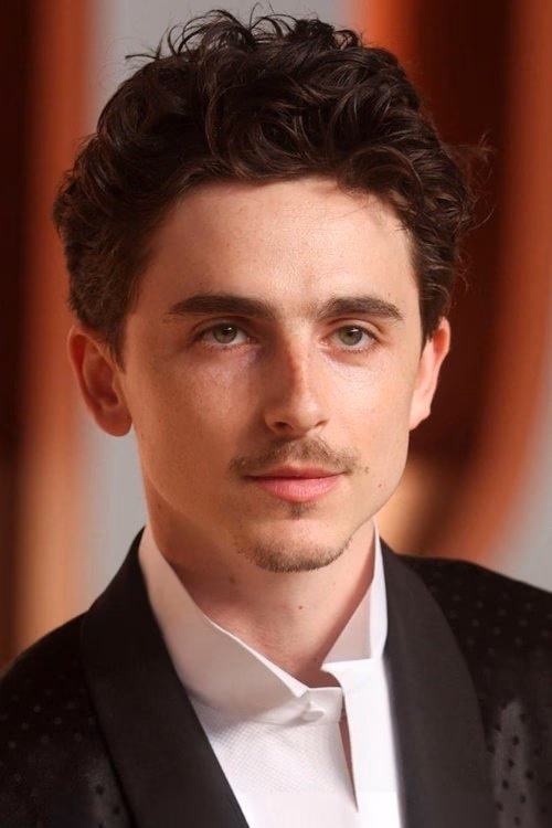 Timothée Chalamet filmleri