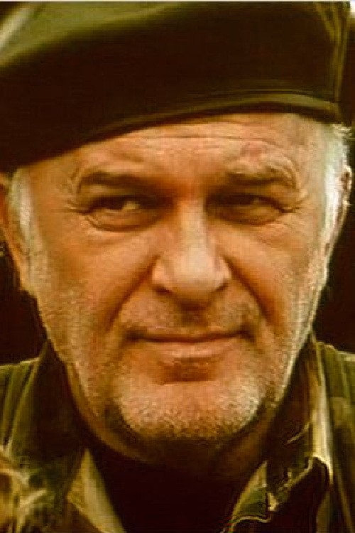 Miralem Zupčević filmleri